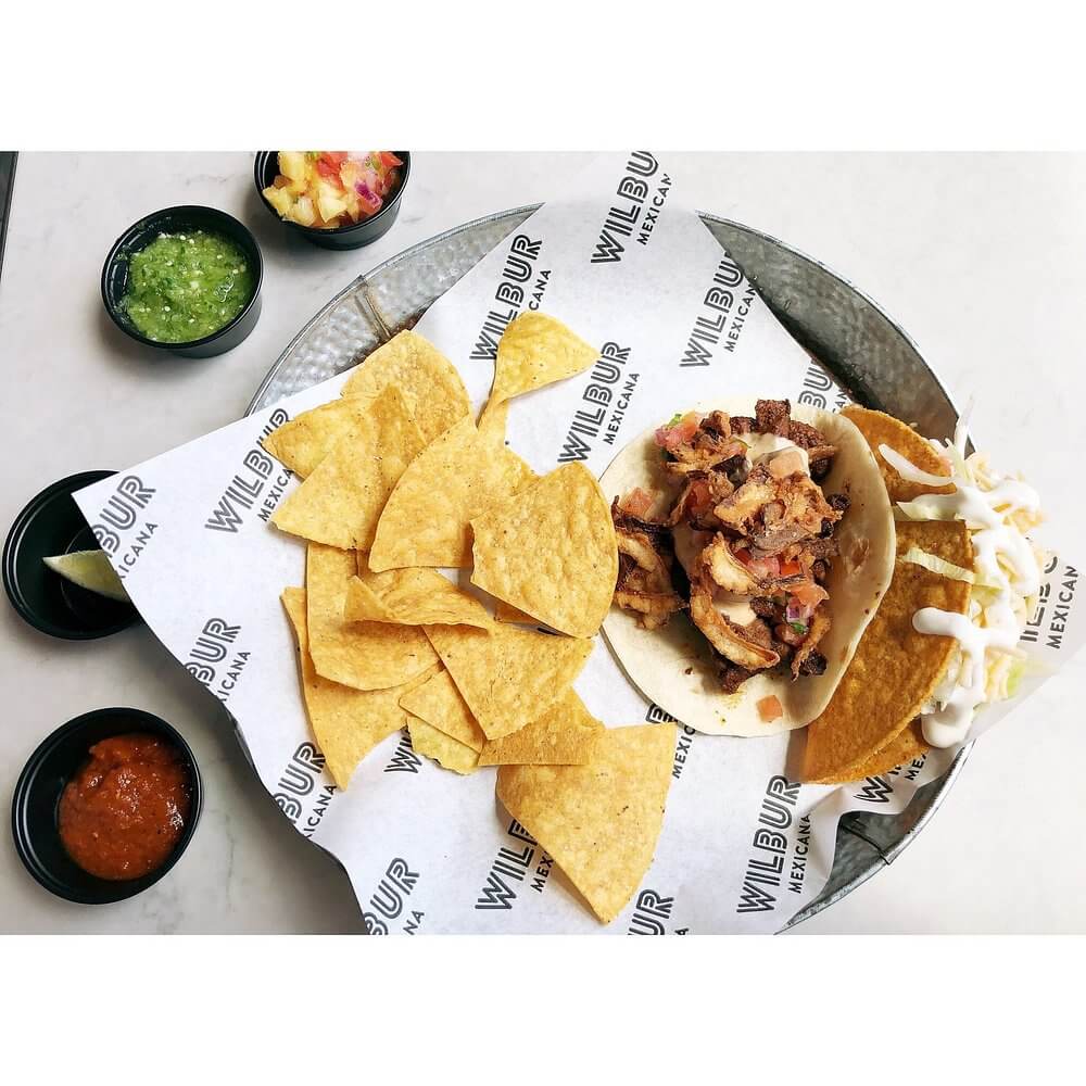 Wilbur Mexicana  photo 7